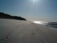 Resize of DSCF2559.JPG